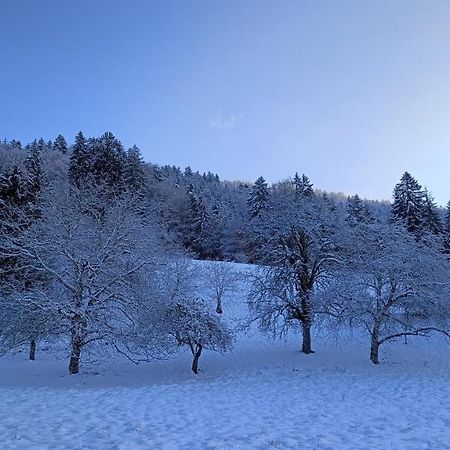 Gite Coeur De Haute-Savoie Viuz-en-Sallaz 外观 照片