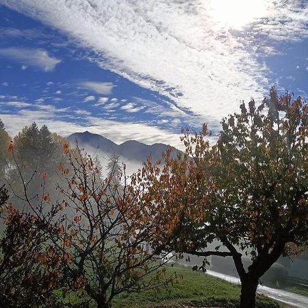 Gite Coeur De Haute-Savoie Viuz-en-Sallaz 外观 照片