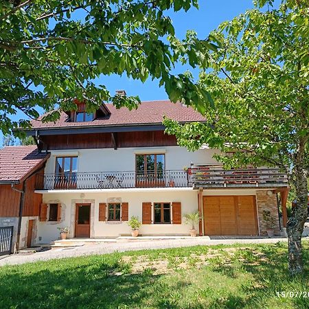 Gite Coeur De Haute-Savoie Viuz-en-Sallaz 外观 照片