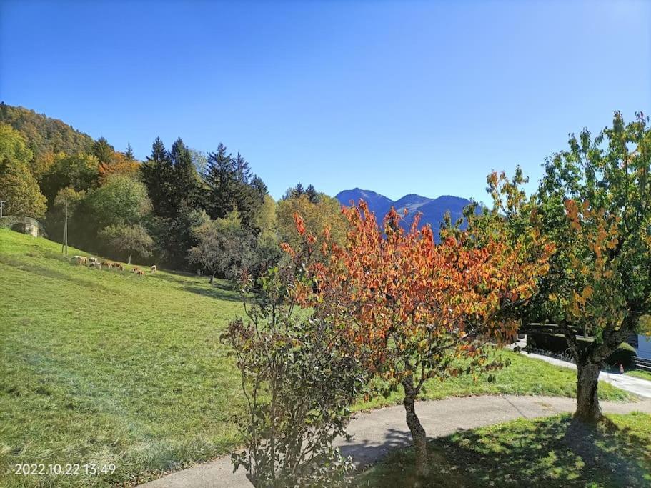 Gite Coeur De Haute-Savoie Viuz-en-Sallaz 外观 照片