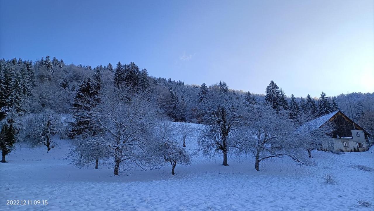 Gite Coeur De Haute-Savoie Viuz-en-Sallaz 外观 照片