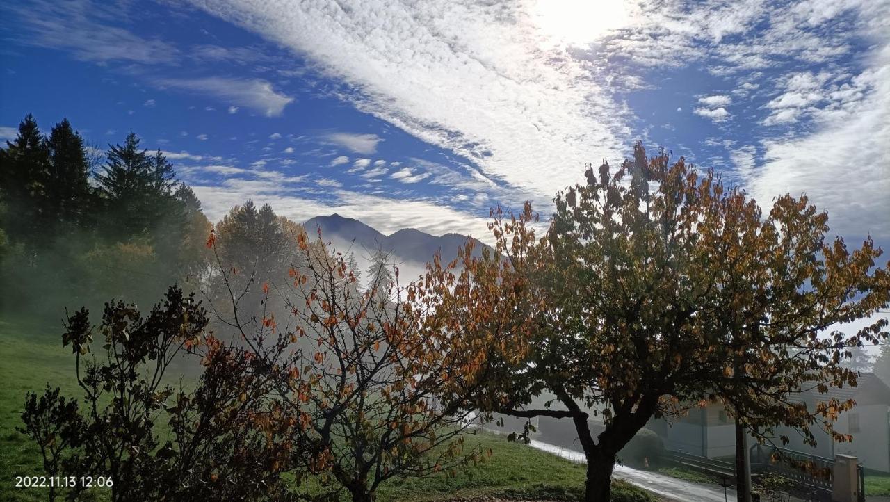 Gite Coeur De Haute-Savoie Viuz-en-Sallaz 外观 照片