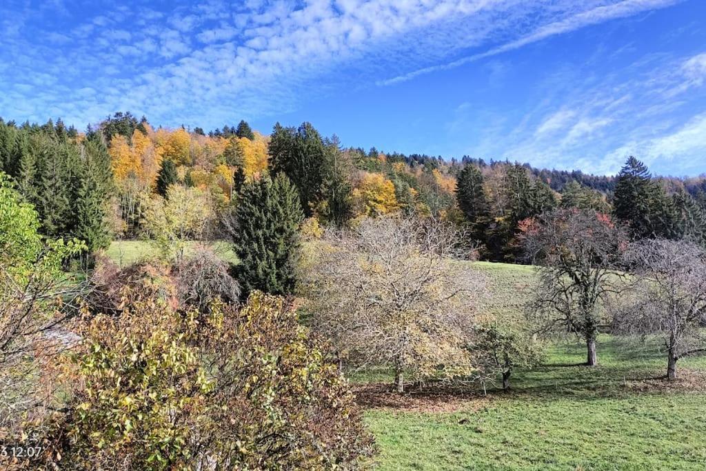 Gite Coeur De Haute-Savoie Viuz-en-Sallaz 外观 照片